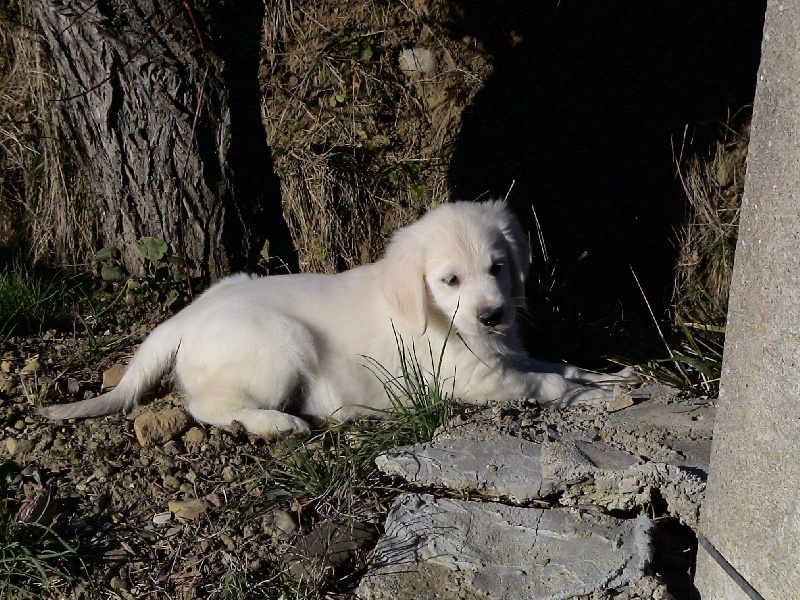 Ciska du Domaine des Rives de l'Erdre