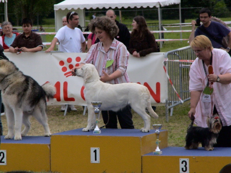 Expo. Ciska